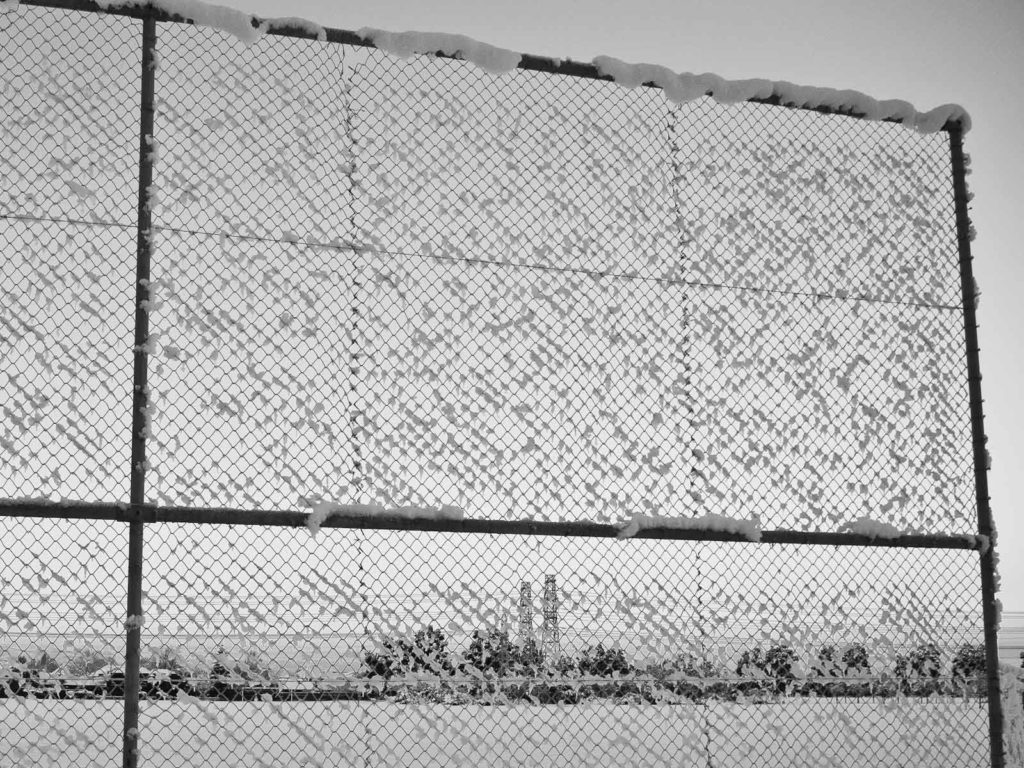Gratuitous picture: frozen fence (Photo: Luis, click to enlarge).